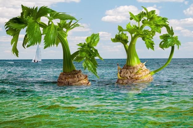 Photo des îles de céleri dans un paysage surréaliste végétal paradis de céleri poussant de l'océan