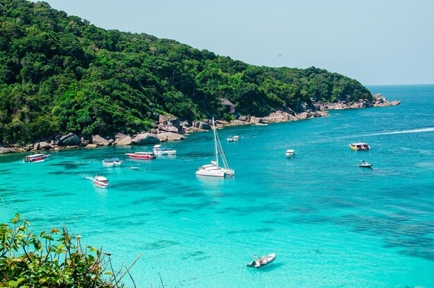 Des îles tropicales d'eau de mer bleue et de plage de sable blanc aux îles Similan avec le célèbre paysage naturel de Sail Rock Phang Nga Thailand