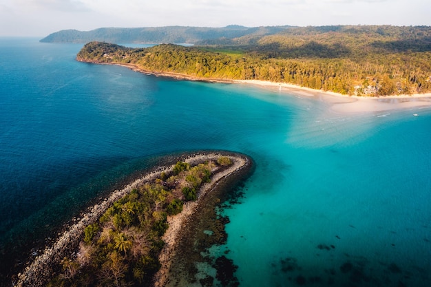 Des îles tropicales et des palmiers à la vue d'un oiseau