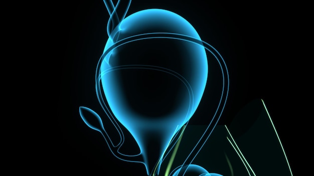 Illustration 3D de l'anatomie du système reproducteur masculin