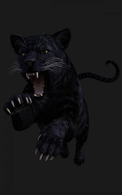 Illustration 3D Black Panther isoler sur fond noir