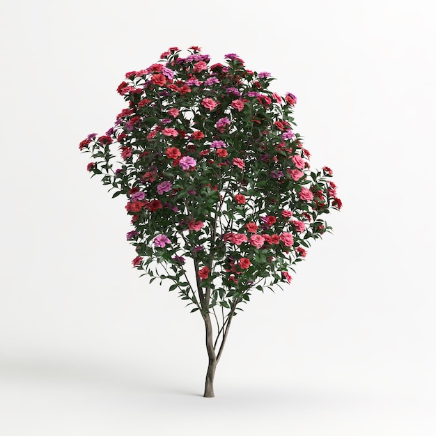 Illustration 3d de fleur de Camellia sasanqua isolée sur blanc et son masque