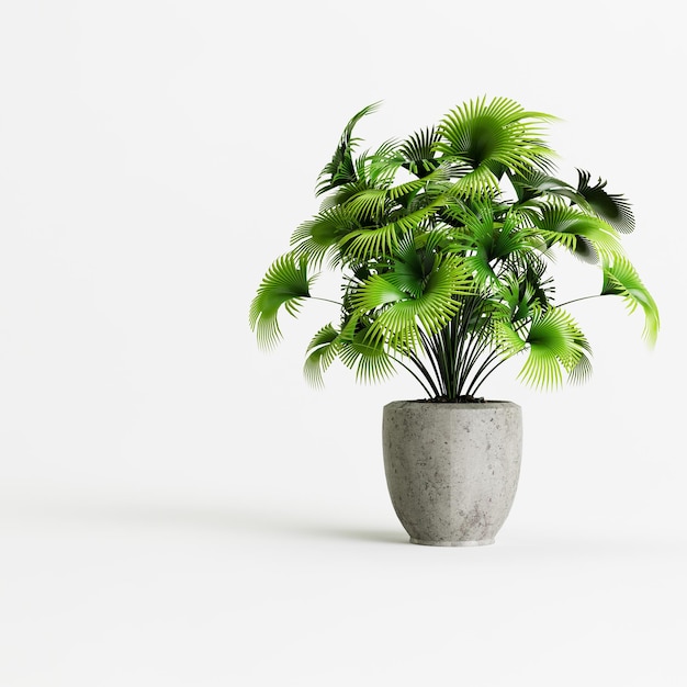 Illustration 3d de plantes d'intérieur en béton isolées sur fond blanc