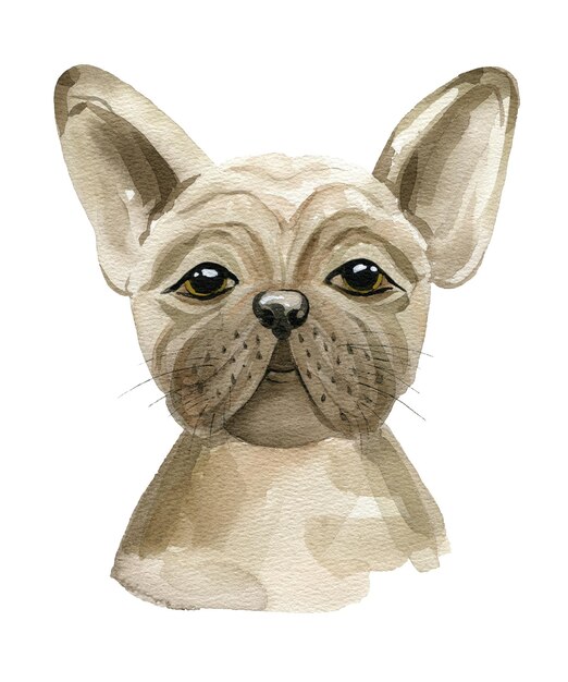 Illustration aquarelle de bouledogue mignon