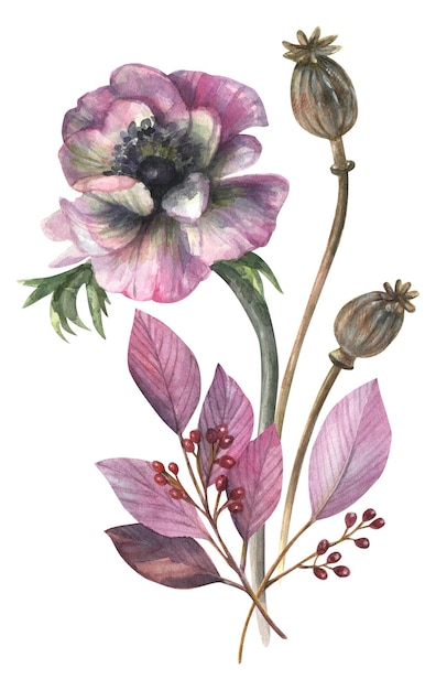 Illustration à l'aquarelle d'un bouquet prêt à l'emploi de feuilles et de baies de fleurs d'anémone rose