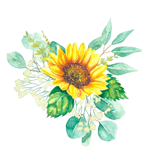 Illustration aquarelle de brindilles de tournesol et d'eucalyptus