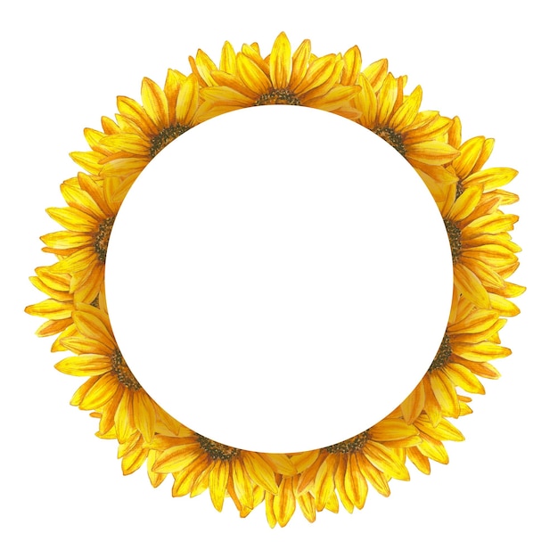 Illustration à l'aquarelle d'un cadre de fleurs Cadre rond de fleurs de tournesol