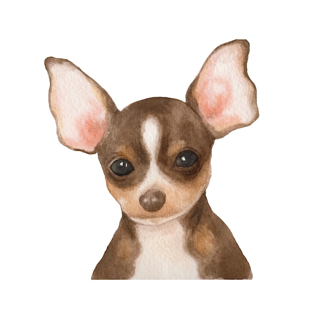 Illustration aquarelle de chiot chihuahua