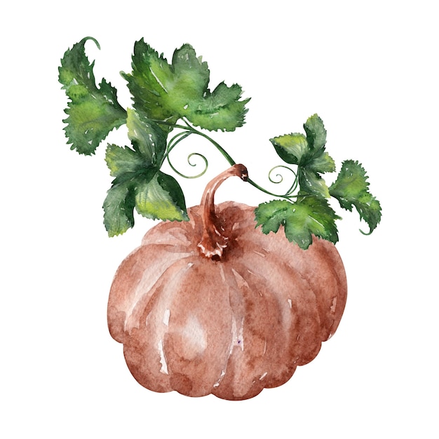 Illustration aquarelle avec des citrouilles et des feuilles