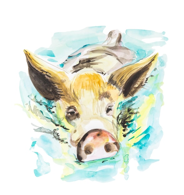 Illustration à l'aquarelle d'un cochon pondant dans une flaque d'eau