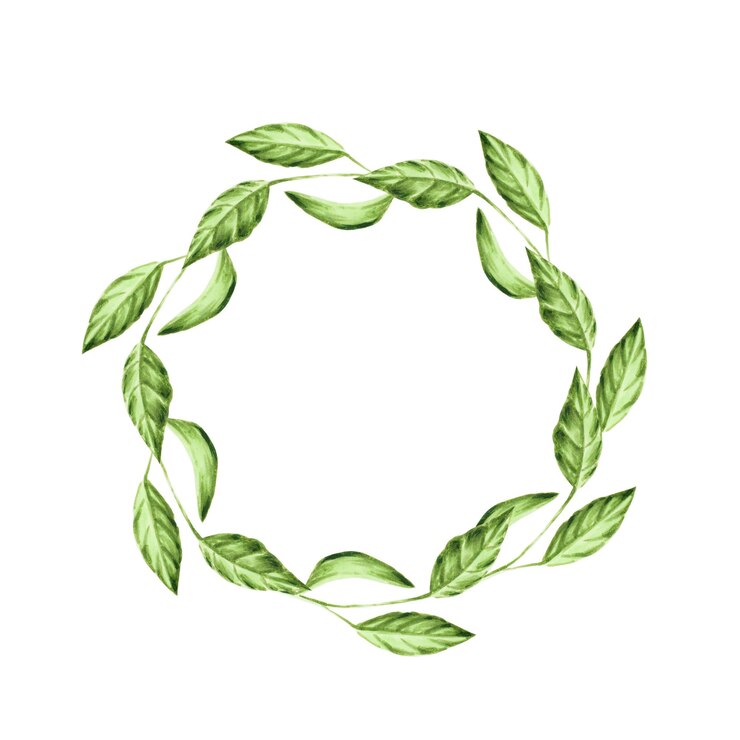 Photo illustration à l'aquarelle d'une couronne de feuilles vertes.
