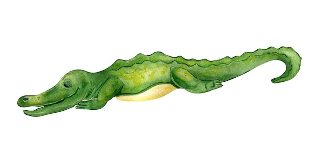 Illustration aquarelle de crocodile dessin animé isolée sur fond blanc
