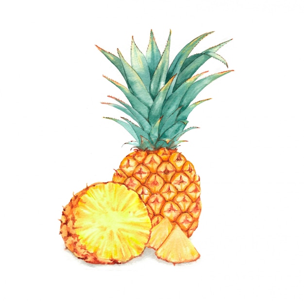 Photo illustration aquarelle dessinée à la main d'ananas isolé