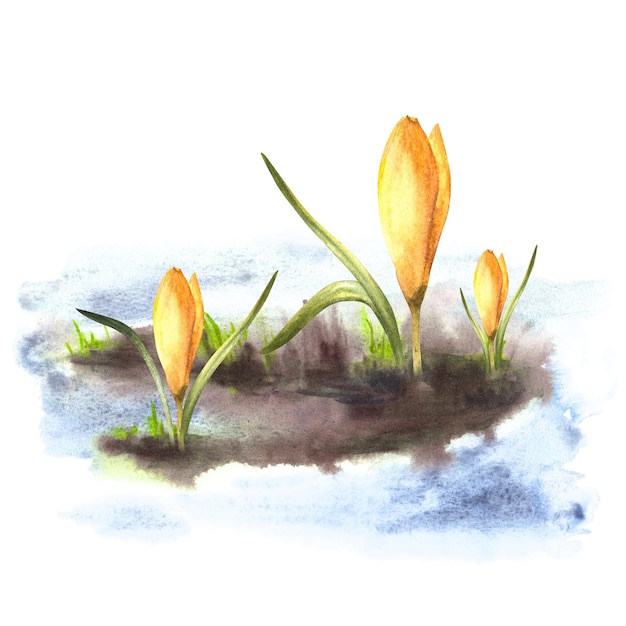 Illustration à l'aquarelle dessinée à la main l'arrivée du printemps l'éveil de la nature après la fonte de l'hiver