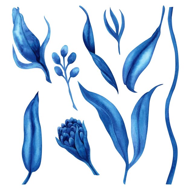 Illustration aquarelle dessinée à la main de fleurs et de feuilles de fantaisie bleue abstraite