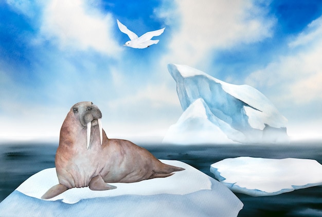 Illustration aquarelle du paysage de la mer du nord oiseau blanc mouette morse ciel bleu glace flottante iceberg