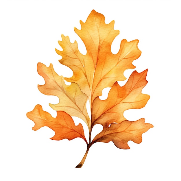 Illustration aquarelle d'une feuille de chêne d'automne clipart isolé sur fond blanc