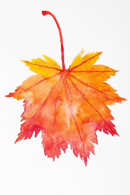 Illustration aquarelle de feuilles d'automne jaunes et rouges