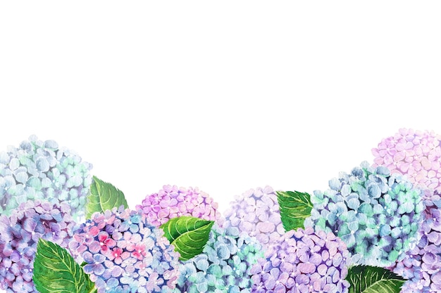Illustration aquarelle de fleur d'hortensia pour des idées de décoration de cadre et de carte postale pour les cartes d'invitation