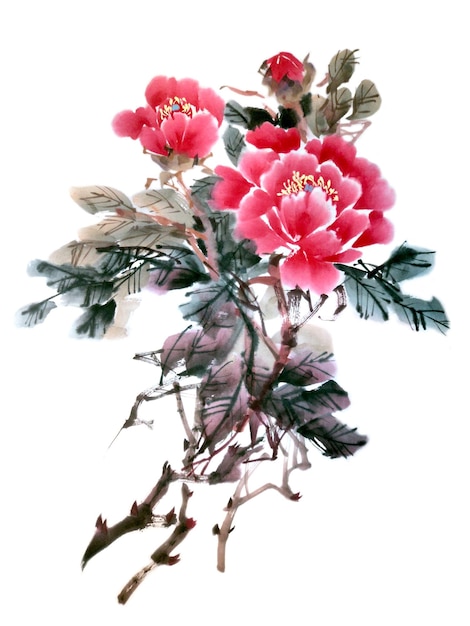 Illustration aquarelle de fleur de pivoine encre traditionnelle chinoise et peinture au lavis