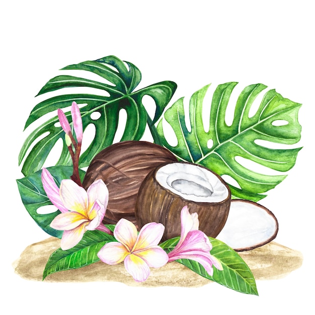 Illustration à l'aquarelle de fleurs et de feuilles de plumeria de noix de coco sur le sable sur fond blanc