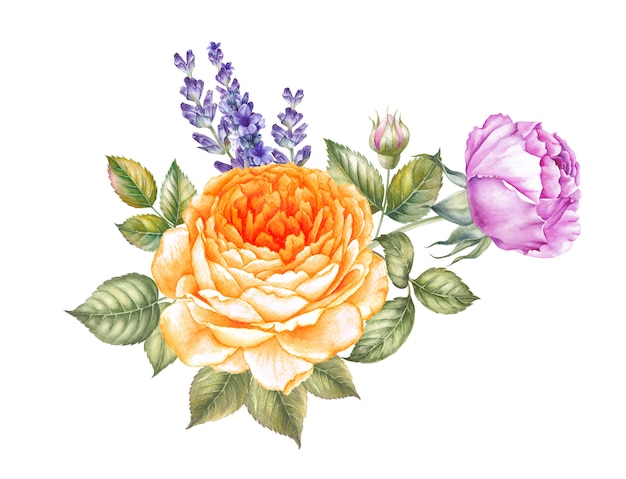 Illustration d'aquarelle en fleurs rose.