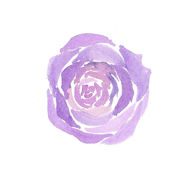 Photo illustration à l'aquarelle de fleurs violettes