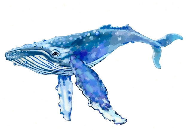 Illustration aquarelle d'une grande baleine bleue