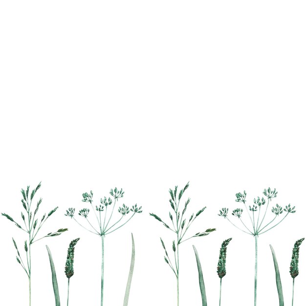 Illustration à l'aquarelle avec de l'herbe sauvage et sèche Bordure horizontale sans couture Champ d'herbe à feuilles persistantes dans la nature Prairie au printemps Ornement pour papier peint carte bannière de bordure Tones verts naturels