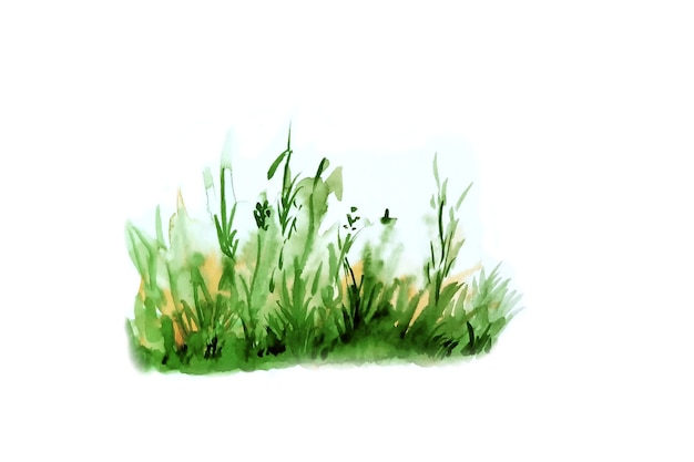 Photo illustration aquarelle d'herbe verte.