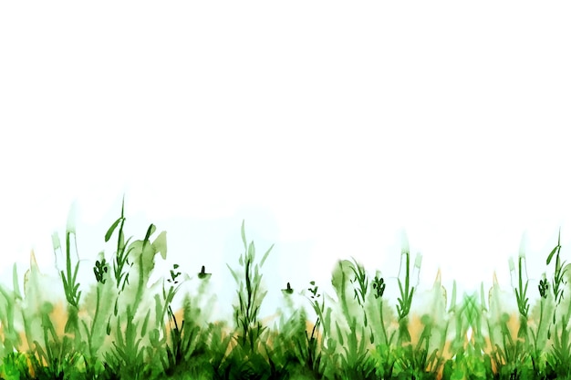 Illustration aquarelle d'herbe verte.