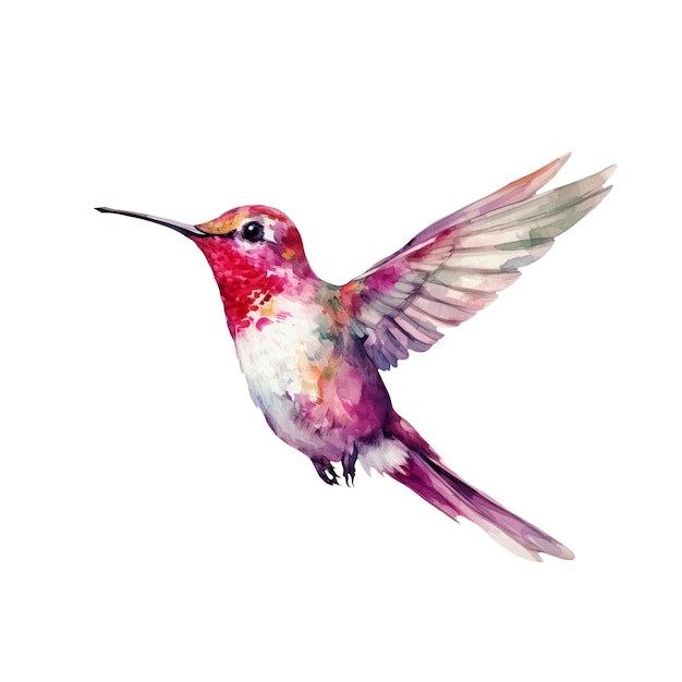 Photo illustration aquarelle d'une illustration ai de colibri
