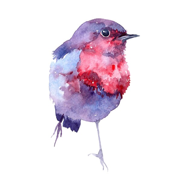 Illustration aquarelle avec oiseau.