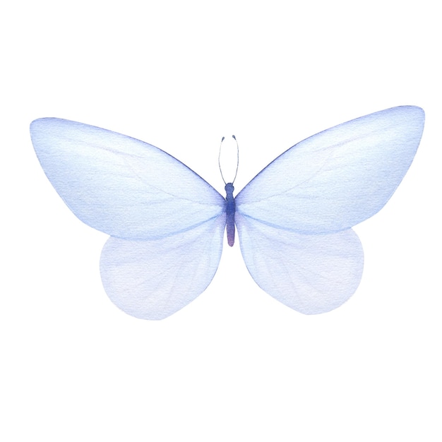 Illustration aquarelle de papillon bleu tendre