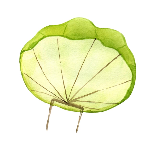 Illustration aquarelle de parachute vert dessin animé isolée sur blanc