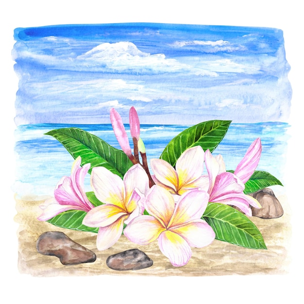 Illustration aquarelle d'un paysage marin plumeria flowerspebblesleaves isolé sur fond blanc