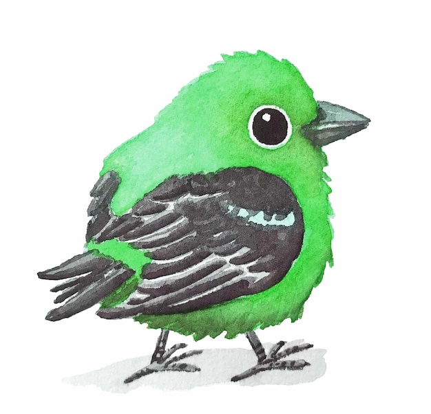 Illustration aquarelle de petit oiseau vert