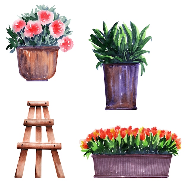 Photo illustration à l'aquarelle avec des plantes de jardin et des outils