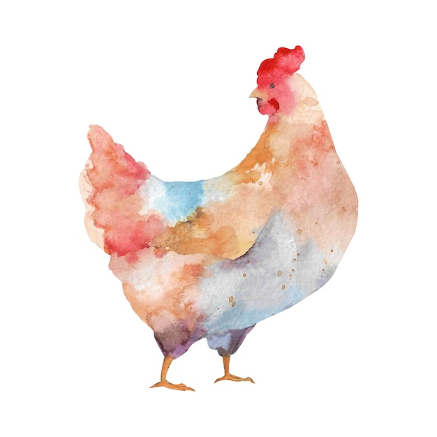 Illustration aquarelle de poules et de coqs Illustration d'oiseau de ferme Poulets domestiques Illustration animale Isolé sur fond blanc