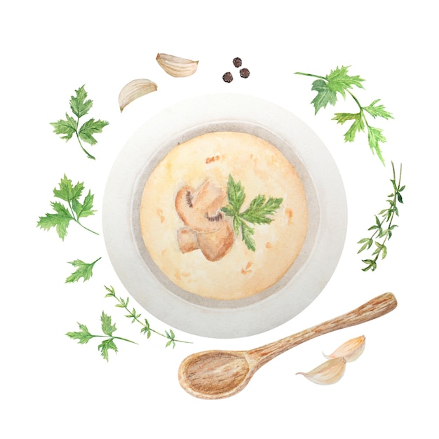 Illustration aquarelle de soupe aux champignons Champignon Illustration botanique Peinture alimentaire