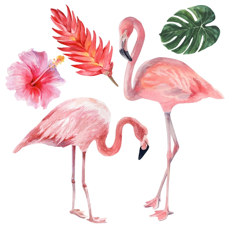 Photo illustration à l'aquarelle sur le thème de la nature tropicale flamants roses et fleurs exotiques