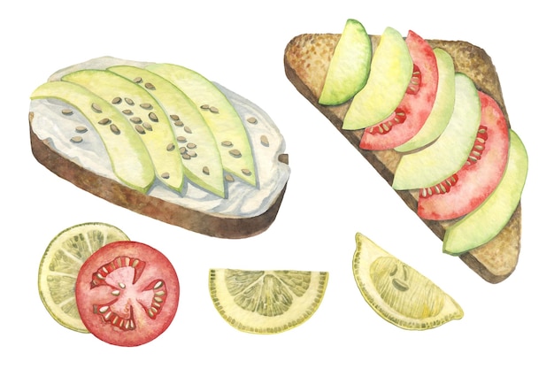 Illustration à l'aquarelle de toasts à l'avocat tomates et citrons Travail fait à la main Isolé