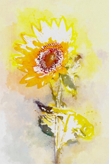 Photo illustration aquarelle de tournesol avec fond abstrait coloré