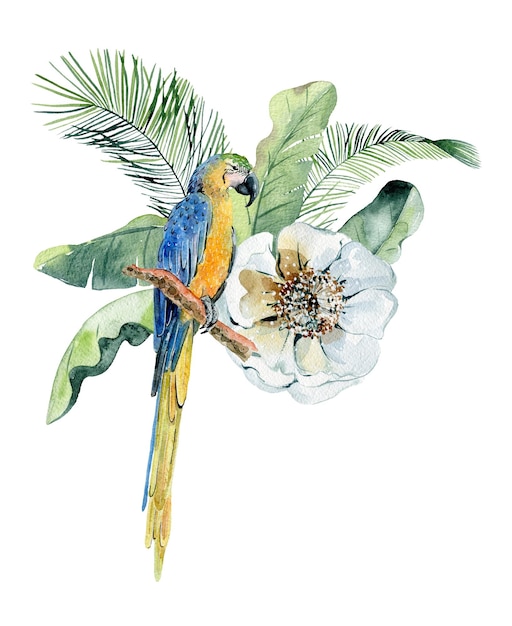 Illustration à l'aquarelle tropicale