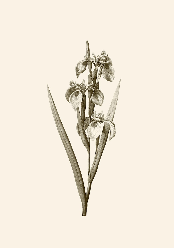 Photo illustration d'art abstrait du milieu du siècle