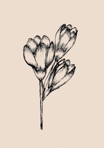 Illustration d'art abstrait du milieu du siècle