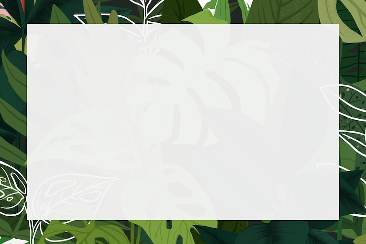 Photo illustration botanique de feuilles tropicales vertes dans un cadre png