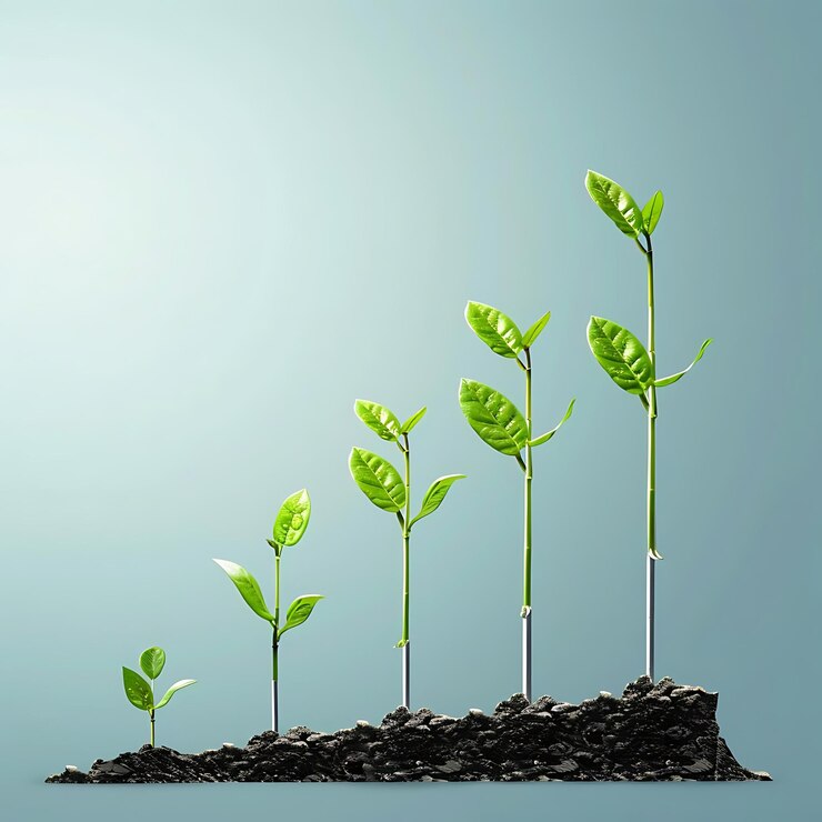 Photo l'illustration de cinq plantes qui poussent