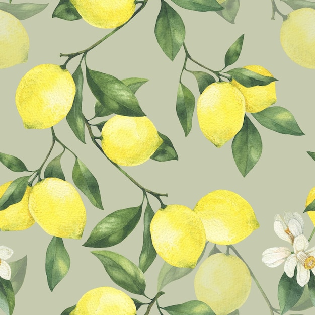 Illustration de citron aquarelle dessinés à la main