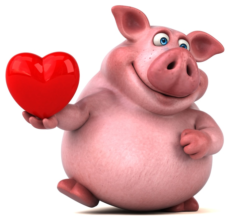 Photo illustration de cochon amusant